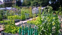 Complex systems gardening